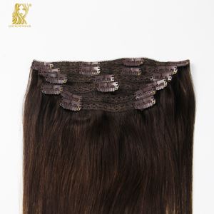 Human Hair Extensions Lace Clip-in Hair