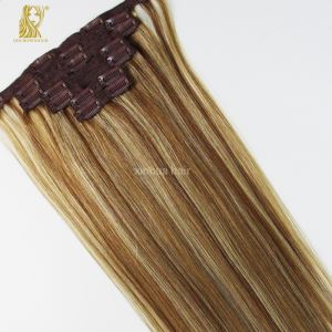Wholesale Lace Clip-in Hair